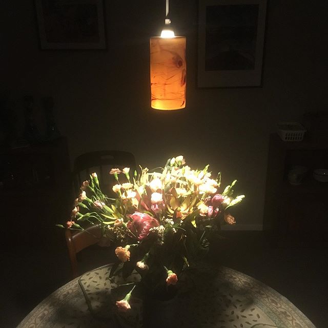 Poppies Lights 2019